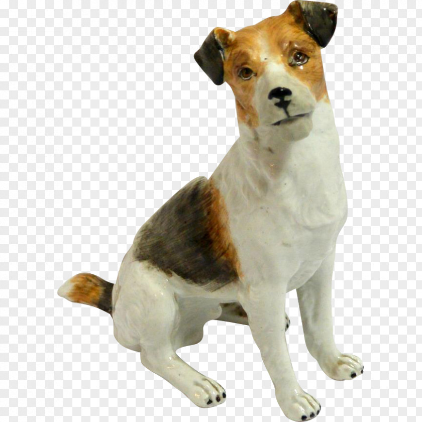 Jack Russell Terrier Dog Breed English Foxhound PNG