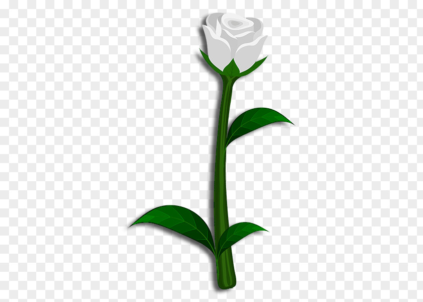 Rose Family Cut Flowers Plant Stem Bud PNG