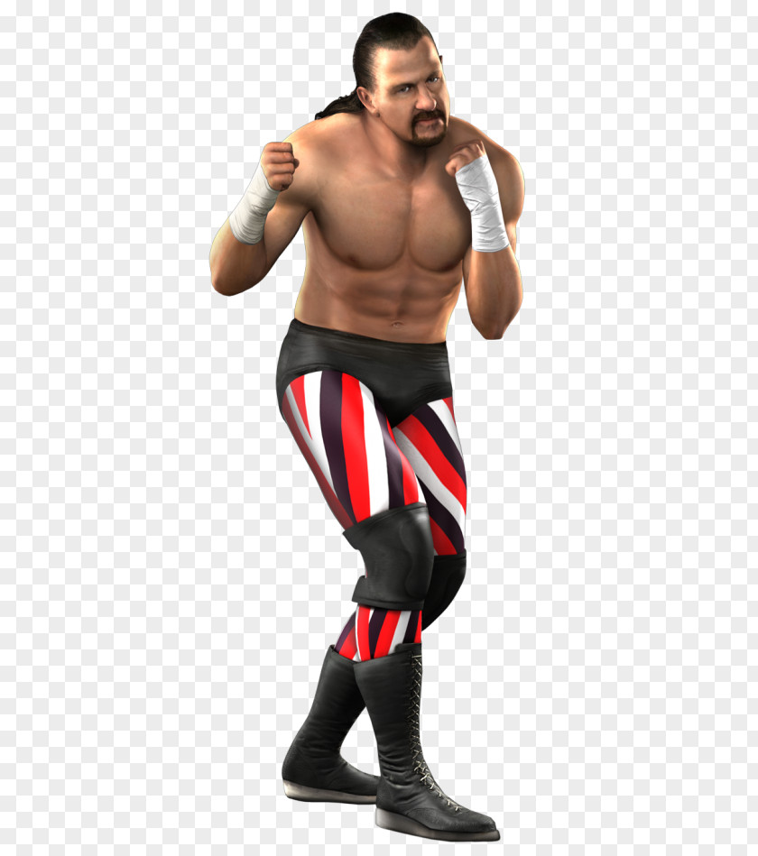 Terry Funk WWE SmackDown Vs. Raw 2011 2008 SmackDown! 2007 PNG vs. 2007, wwe raw clipart PNG