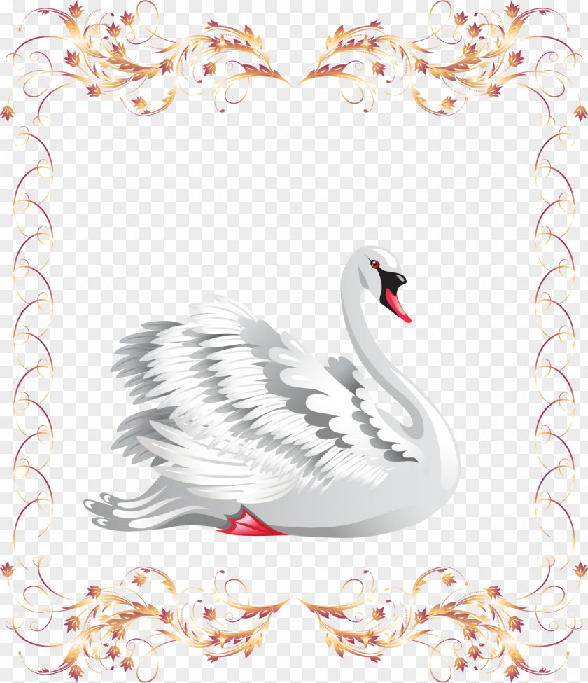 Beautiful Swan Black Photography Clip Art PNG