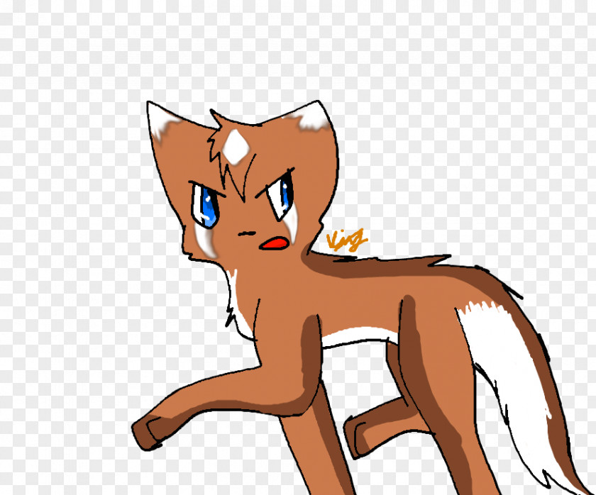 Cat Whiskers Red Fox Mammal Horse PNG