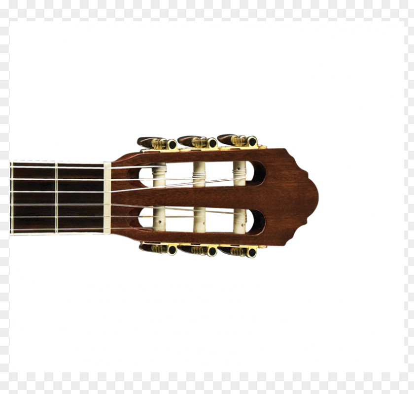 Cool Guitar Acoustic Acoustic-electric Cavaquinho Tiple PNG