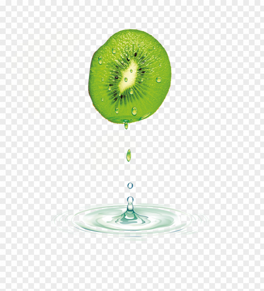 Drip Delicious Kiwi Vector Kiwifruit Auglis PNG