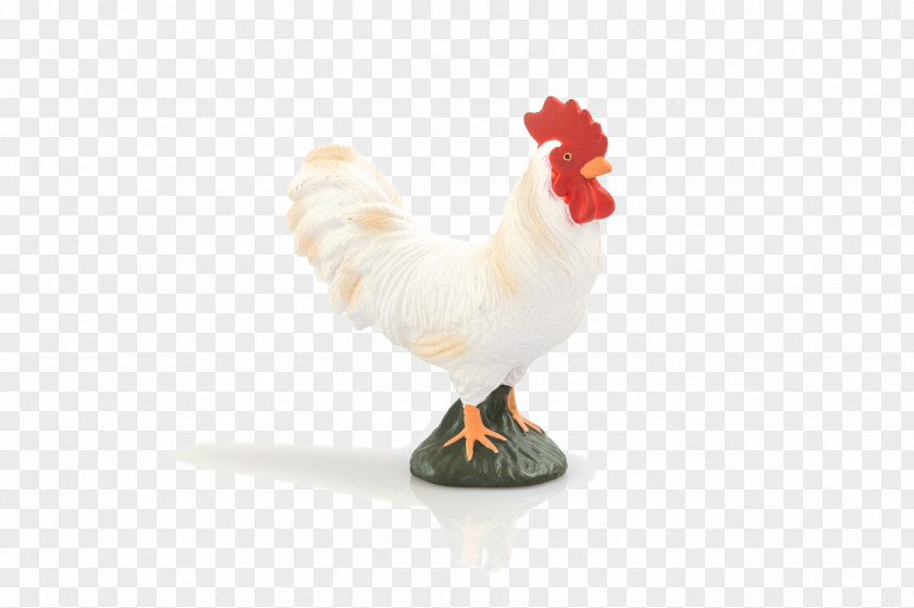 Farmland Rooster Chicken Bird Goose Cygnini PNG