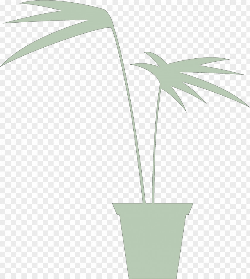 Palm Trees PNG