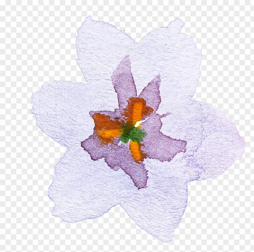 Petal Flower Violet Plant Paper PNG