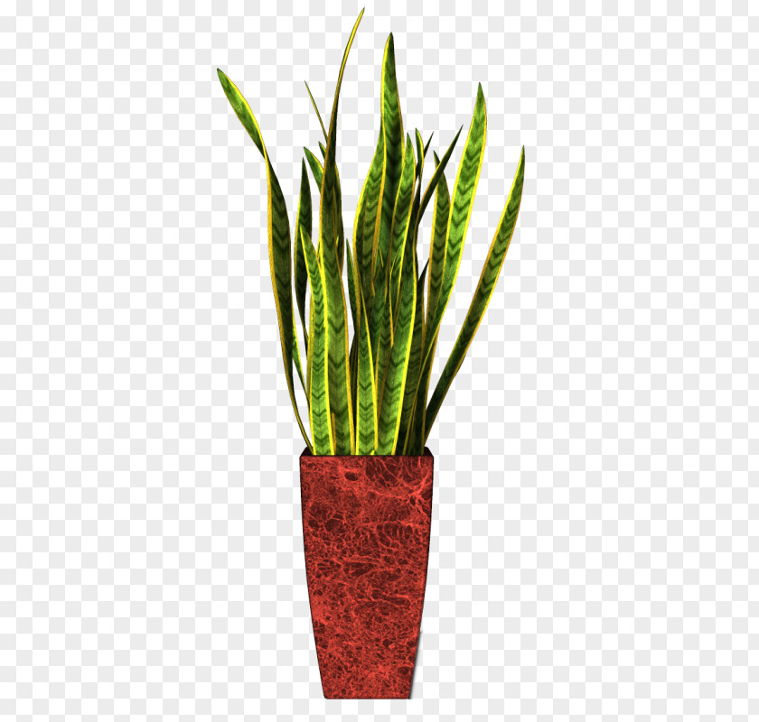Plant Flowerpot Houseplant Ornamental Clip Art PNG