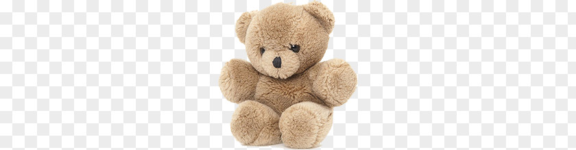 Teddy Bear PNG bear clipart PNG