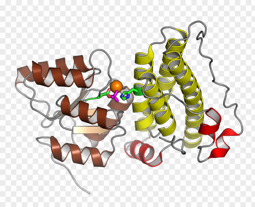 Histidine Phosphotransfer Domain Response Regulator Kinase Protein Two-component Regulatory System PNG