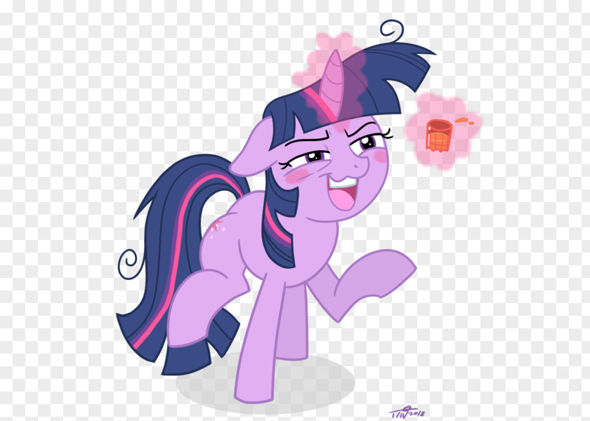 My Little Pony Twilight Sparkle Pinkie Pie Rarity Rainbow Dash PNG