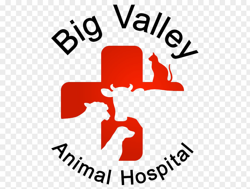T-shirt Altavins Viticultors Birthday Big Valley Animal Hospital Gift PNG