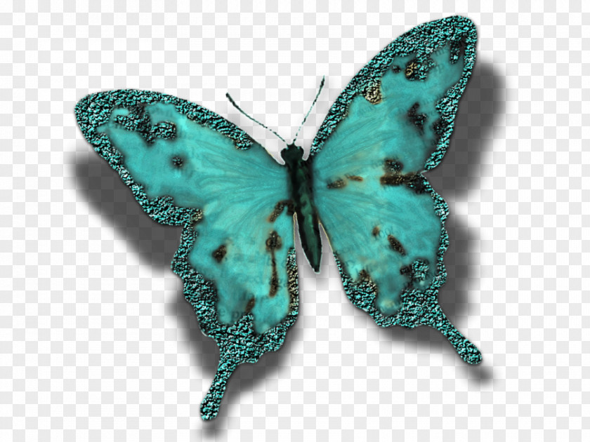 Creative Cards Butterfly Insect Turquoise Moth Pollinator PNG