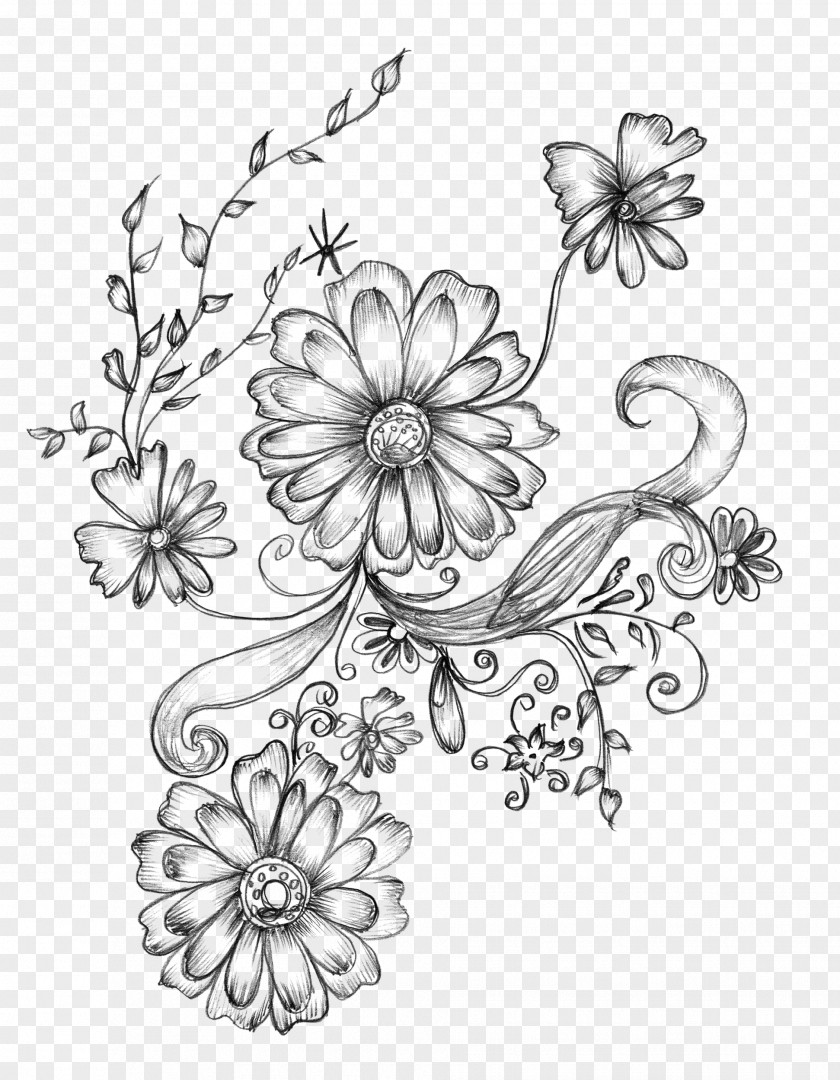 Decorative Drawing Arts Flower Sketch PNG