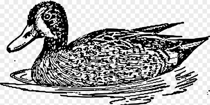 Duck Line Art Clip PNG