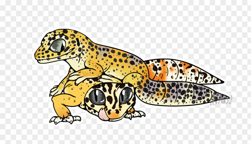 Lizard Gecko Toad Frog Terrestrial Animal PNG