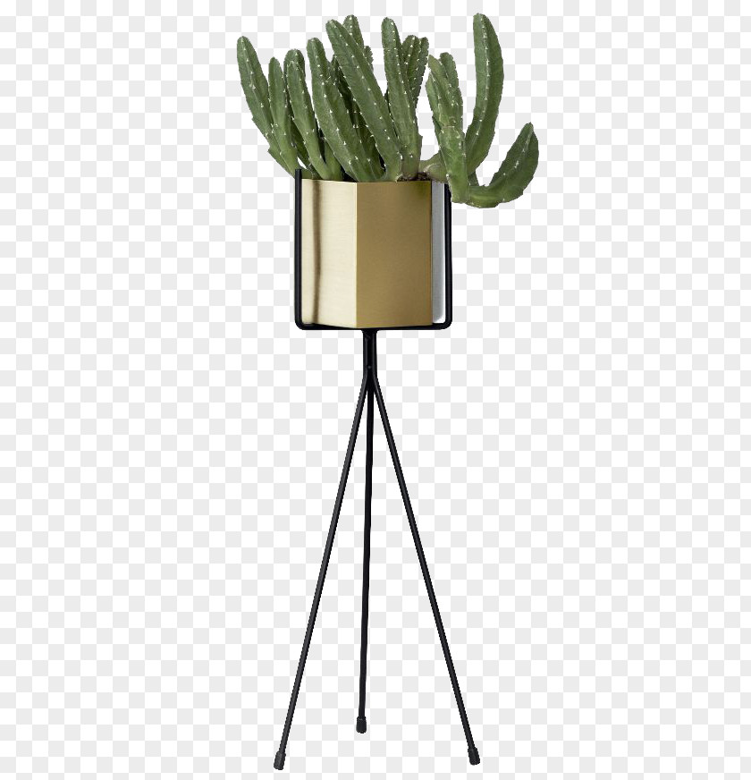 Mexico Potted Cactus Plant Flowerpot Ferm LIVING ApS Color PNG