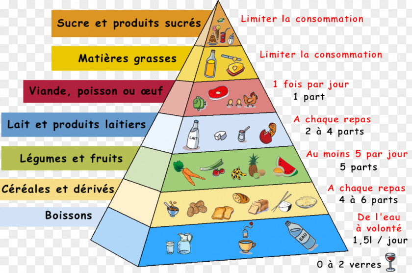 Pyramid Food Eating Nutrition PNG