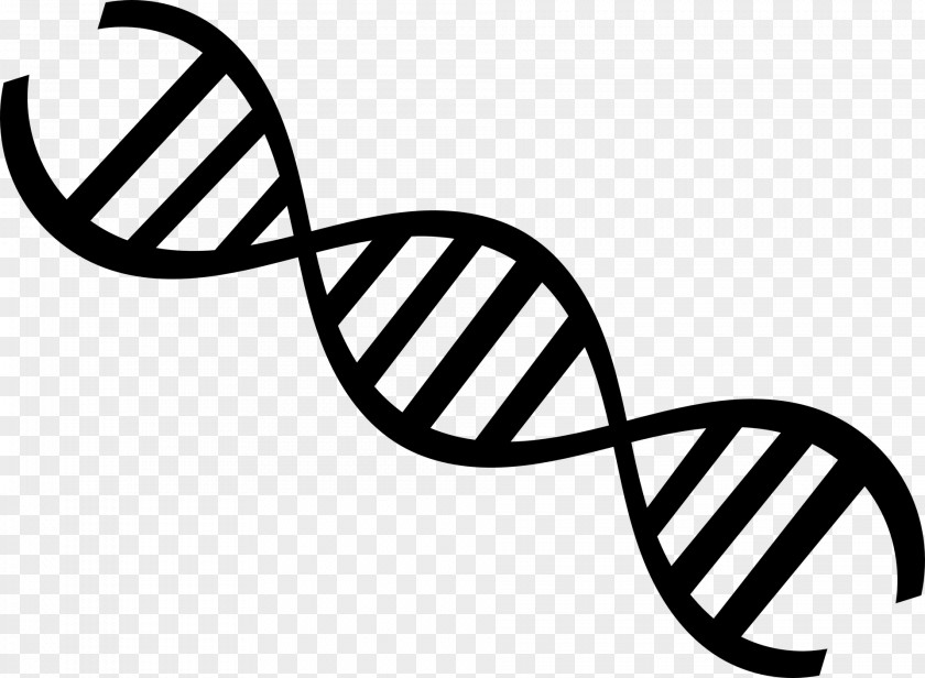 Biology DNA Nucleic Acid Double Helix Genetics Molecular Clip Art PNG
