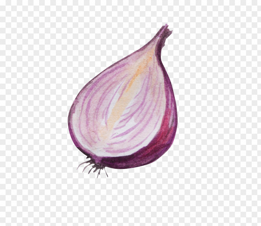 Cut Onions Red Onion Vegetable Gratis PNG