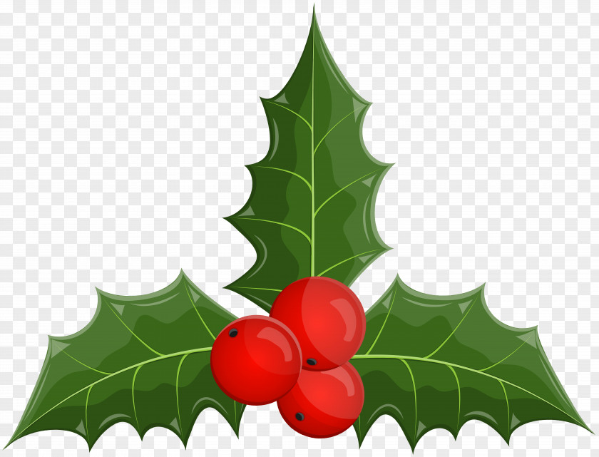 Fruit Plane Christmas Tree Silhouette PNG