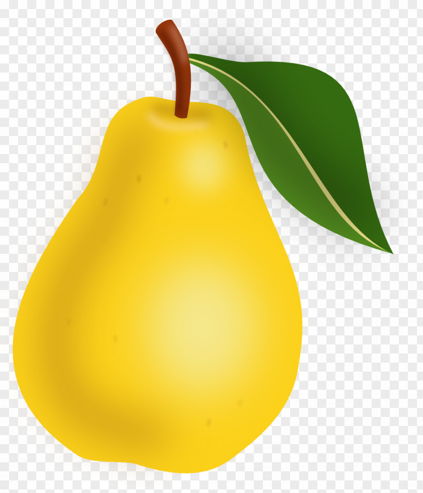 Fruits Drawing Pear Berry Clip Art PNG