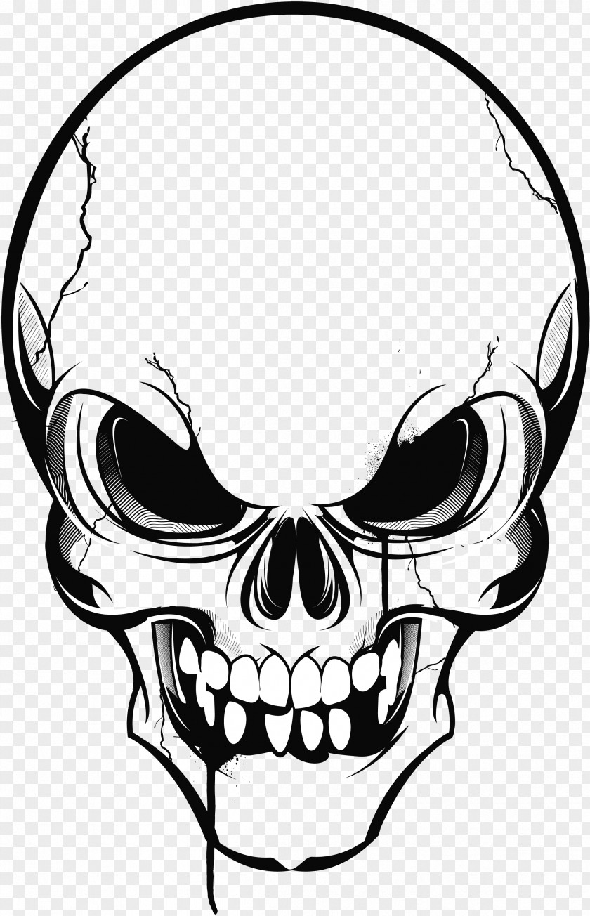 Skulls Calavera Skull Drawing Clip Art PNG