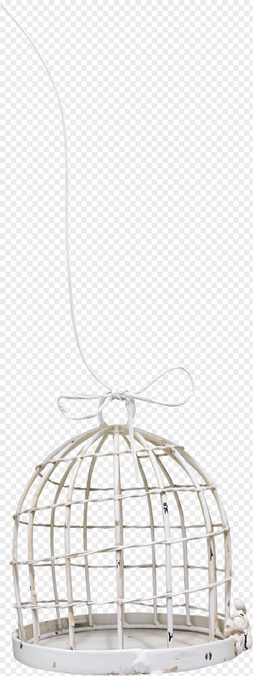 Birdcage Owl Clip Art PNG