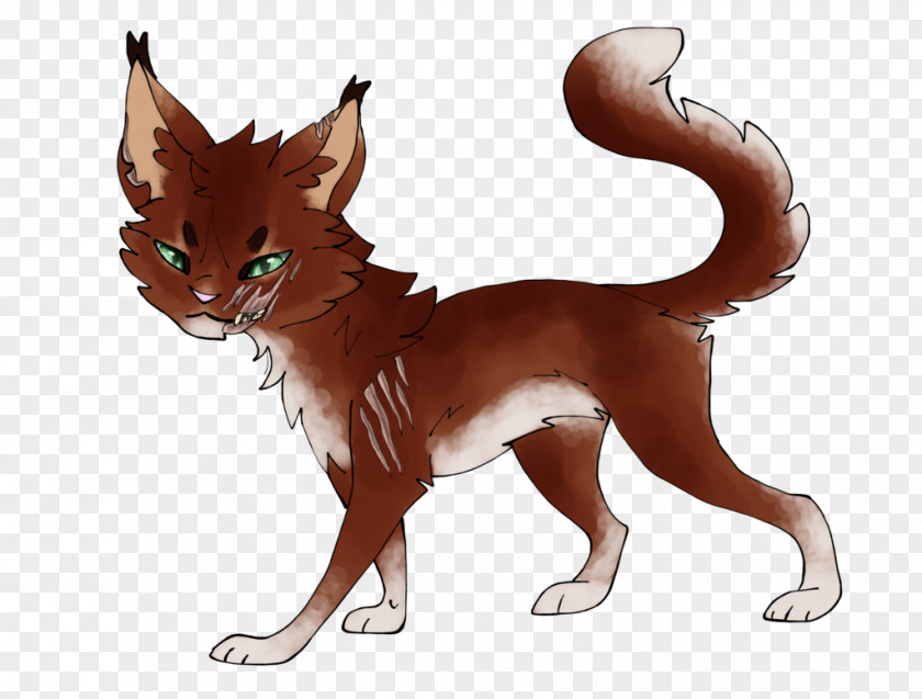 Cat Whiskers Red Fox Dhole PNG