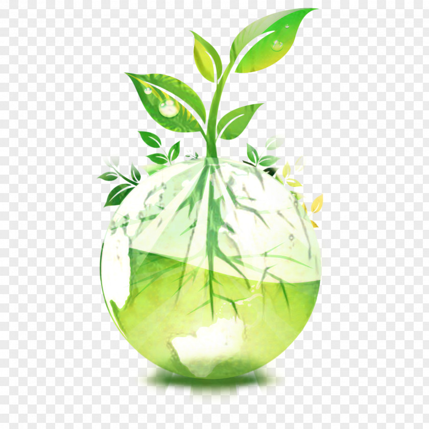 Flowerpot Glass Green Leaf Logo PNG