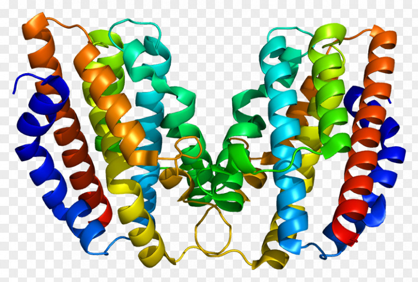 HMOX1 Heme Oxygenase Enzyme Gene PNG