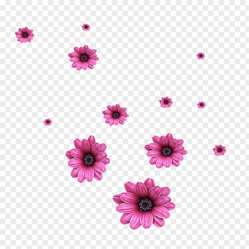 Scattered Flowers Flower Computer File PNG