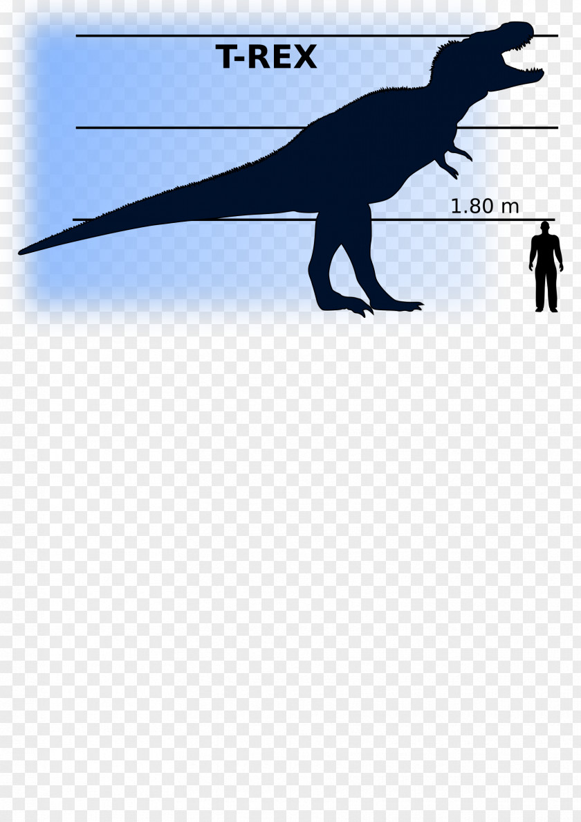 T Rex Tyrannosaurus Teratophoneus Dinosaur Size Albertosaurus Stegosaurus PNG