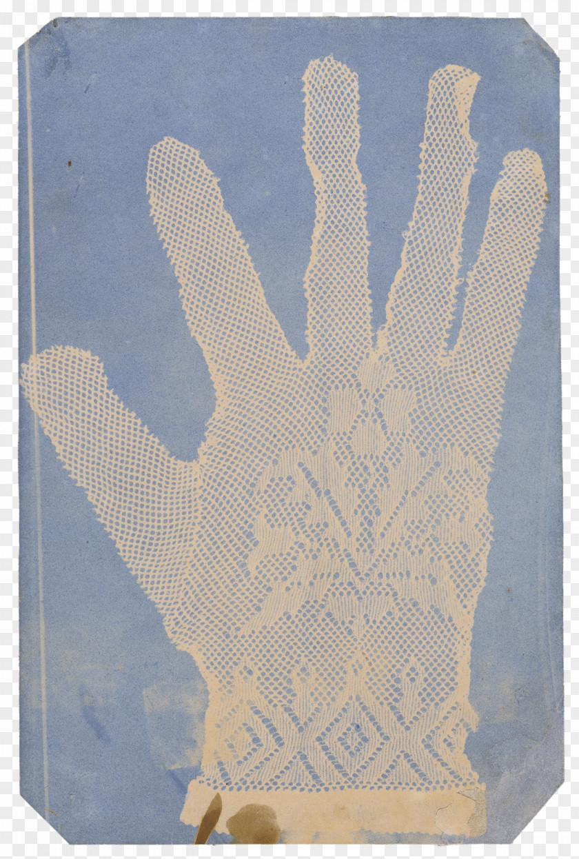 Windmills [Lace Glove] [Arrangement Of Specimens] J. Paul Getty Museum Photography Cyanotype PNG