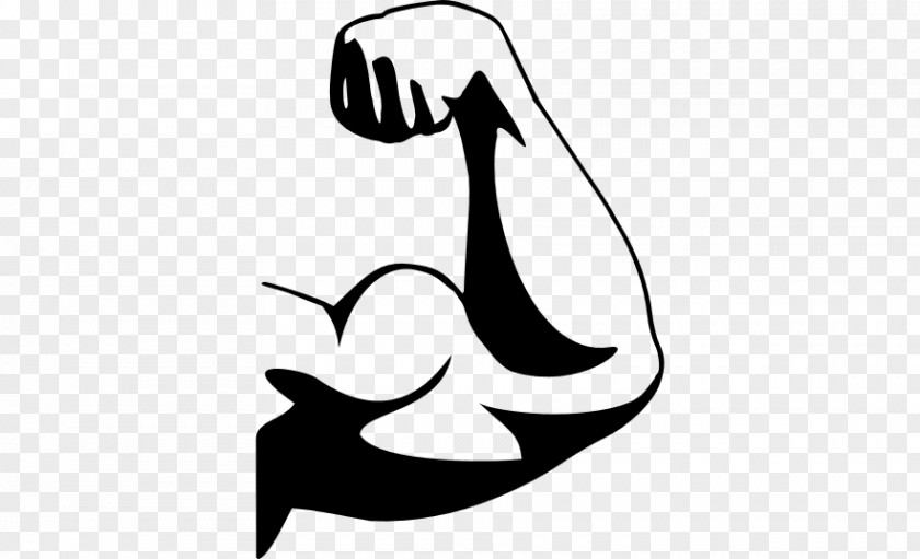 Bodybuilding Biceps Exercise Clip Art PNG