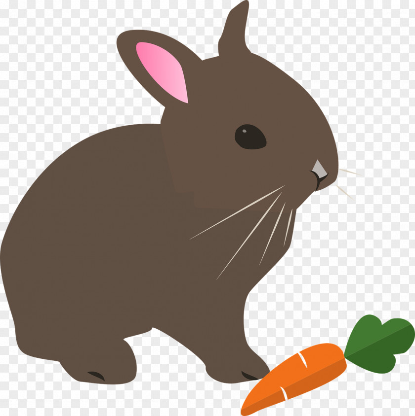 Bunny Clipart Rabbit Cartoon Hare Clip Art Free Content PNG