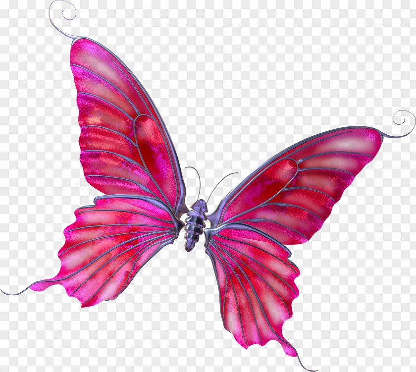 Butterfly Photography Clip Art PNG