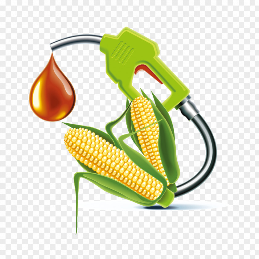 Creative Pattern Vector Corn Oil Algae Fuel Biofuel Biodiesel PNG