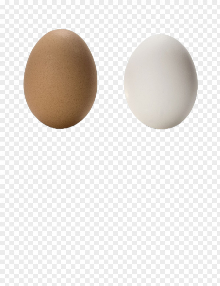 Egg Chicken PNG