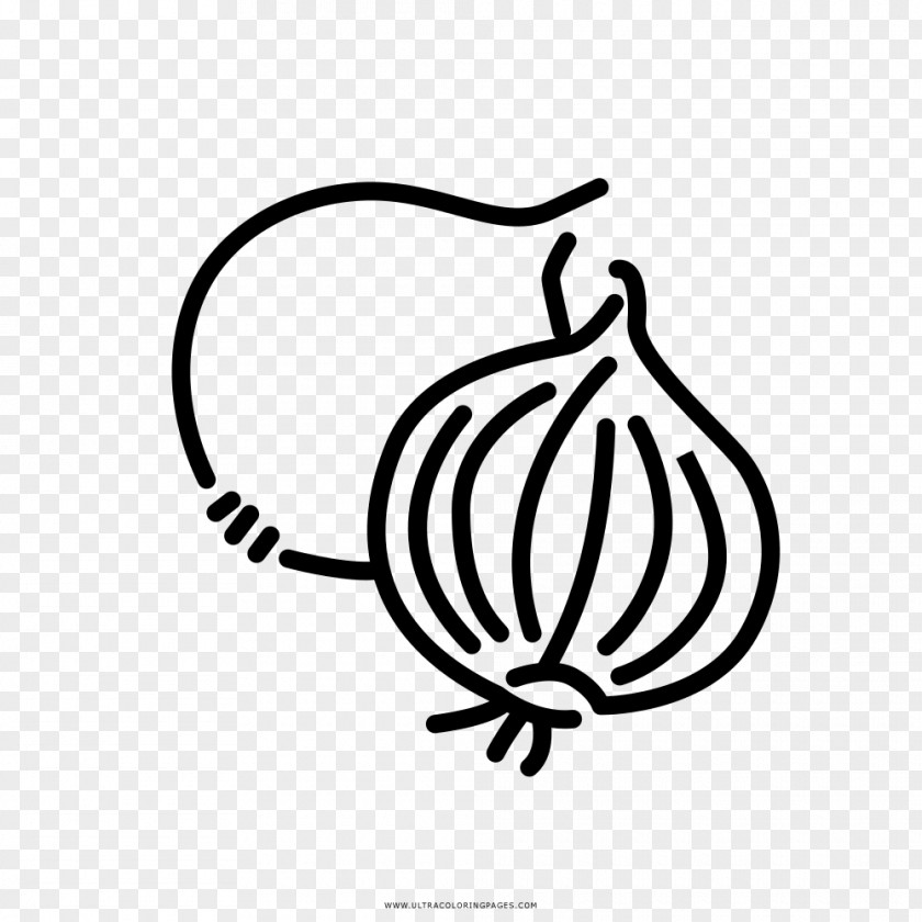 Onion Organic Food Vegetable Drawing Vegetarian Cuisine PNG