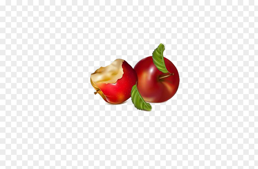 Red Delicious Apples Apple Clip Art PNG