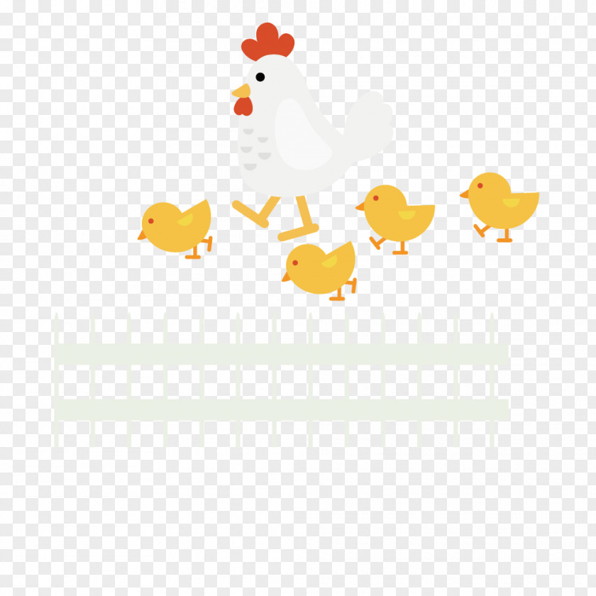 Rooster Chick Chicken Yellow White Illustration PNG