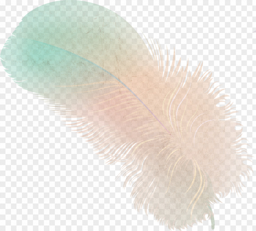 Twinkle Aj Feather PNG