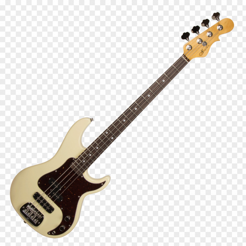 Bass Guitar Fender Precision Jazz Mark Hoppus Flea PNG