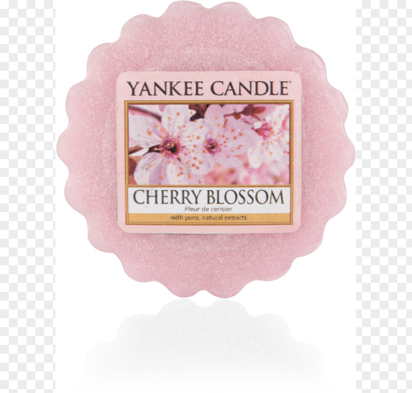 Candle Wax Melter Yankee Tealight Votive PNG