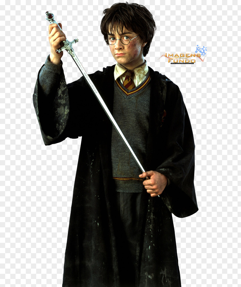 Harry Potter And The Chamber Of Secrets Daniel Radcliffe Deathly Hallows Sorting Hat PNG