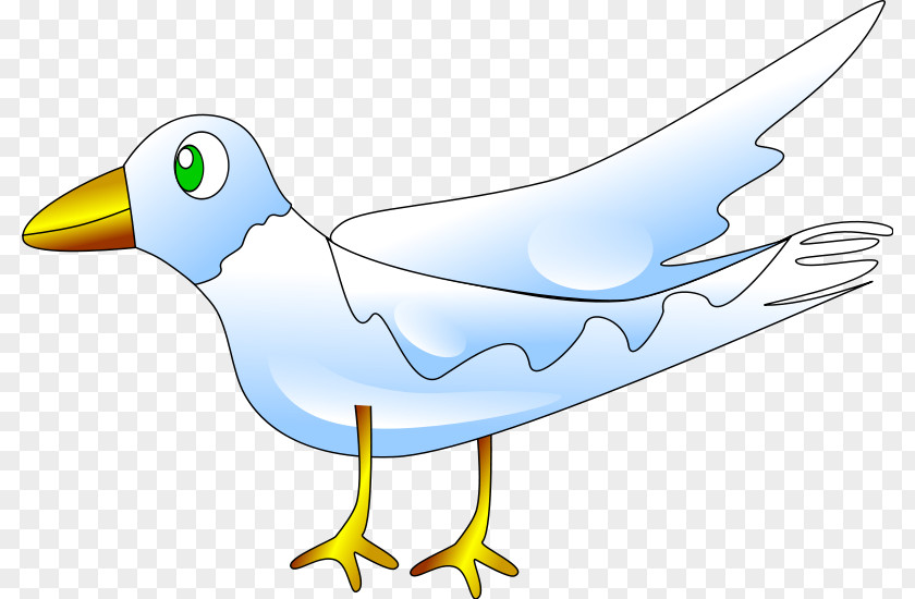 Kestrel Cliparts Bird Duck Mallard Clip Art PNG