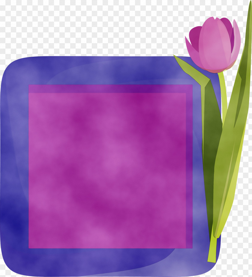 Picture Frame PNG