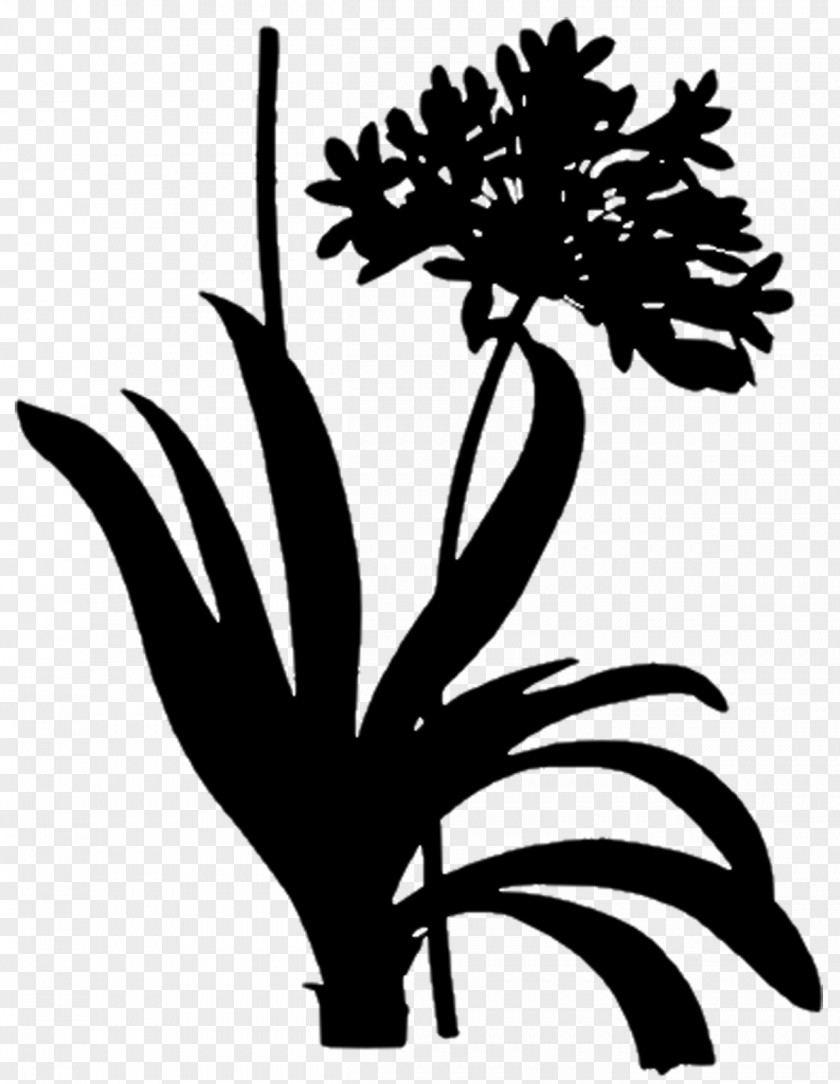 Arecales Leaf Floral Design Clip Art PNG