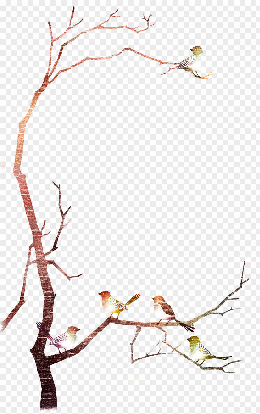 Creative Winter Birds In The Branches Template PNG