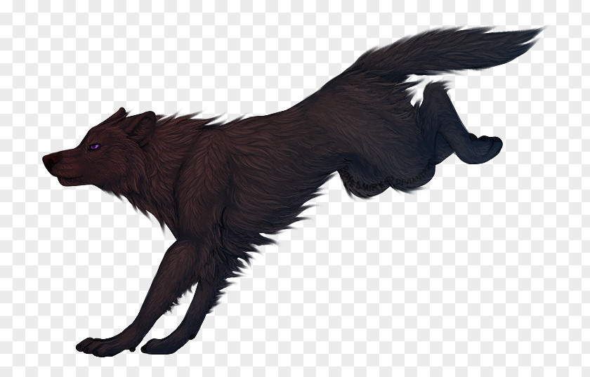 Dog Breed Fur Wildlife PNG